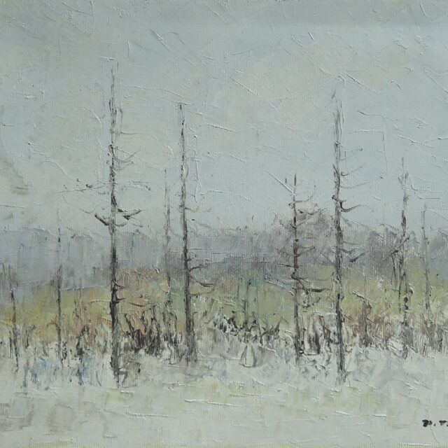 Pauli Taskinen: 017