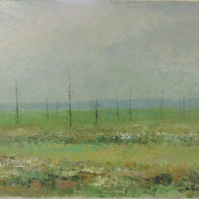 Pauli Taskinen: 033