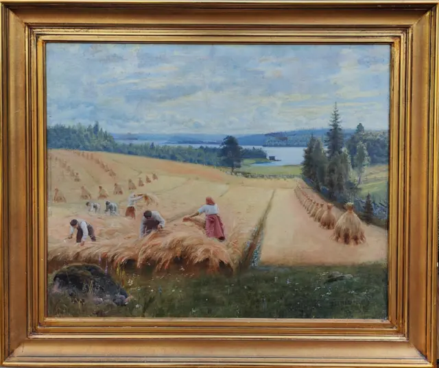 Felix Frang: Elonkorjuu Ikaalisissa v.1893