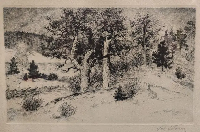 Axel österberg: Metsänäkymä