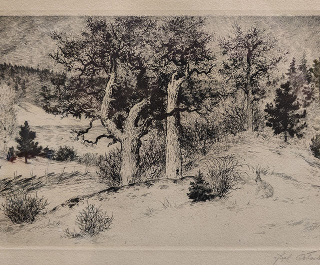 Axel österberg: Metsänäkymä