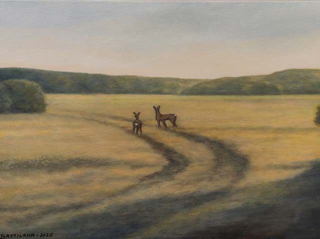 Paolo Battilana: Peurat