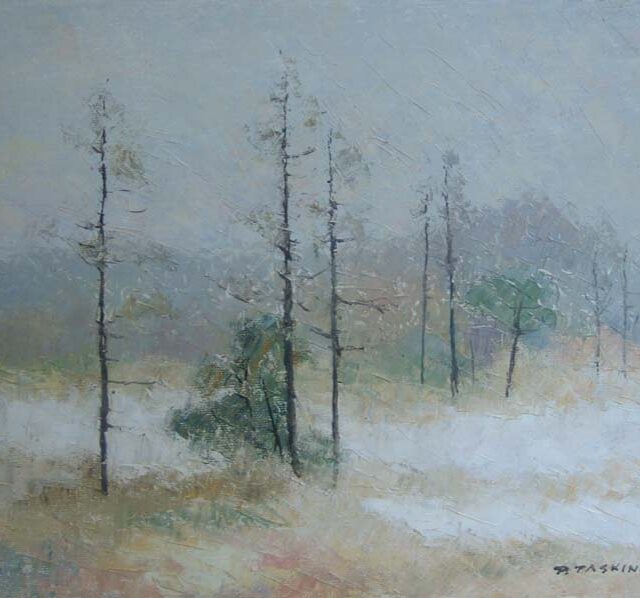Pauli Taskinen: 005