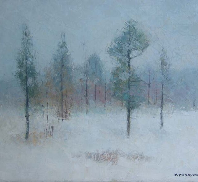 Pauli Taskinen: 006