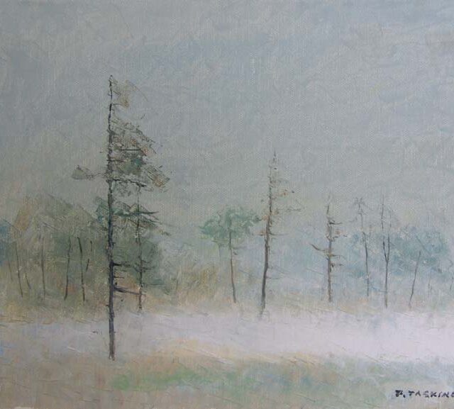 Pauli Taskinen: 008
