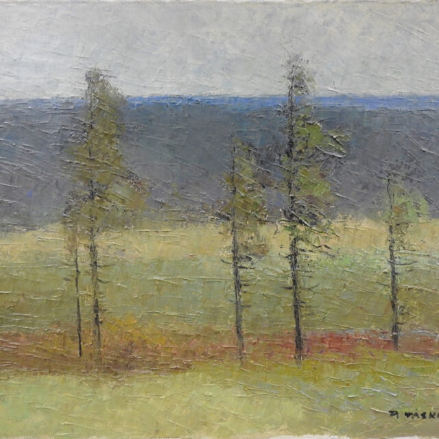 Pauli Taskinen: 009